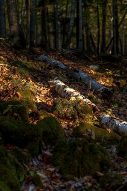 20101010-NEW_8749 Try2_tonemapped