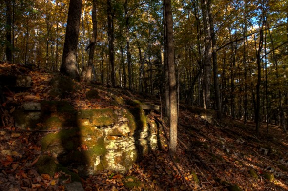 20101010-NEW_8767_tonemapped