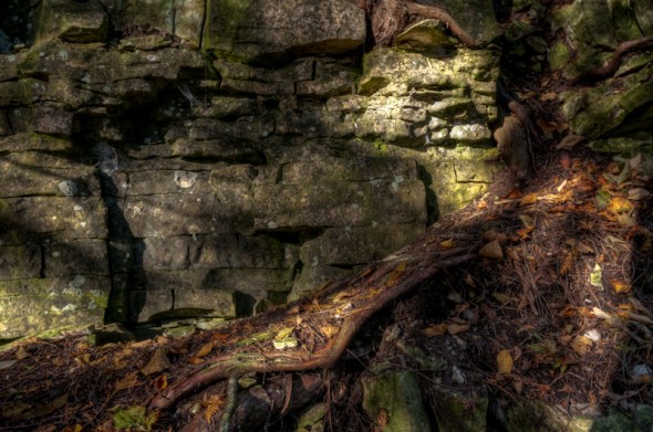 20101010-NEW_8807_tonemapped