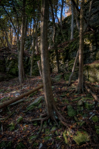20101010-NEW_8849_tonemapped