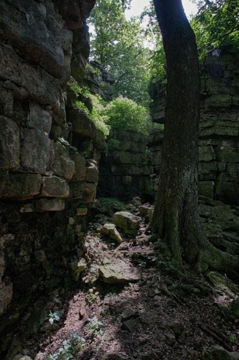 20140824-_NEW0905_HDR