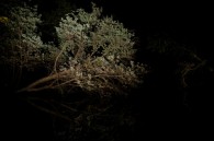 Tonight I headed out to Paradise Springs in the Kettle Moraine State Forest.  I left home around 9:00 P.M. without a plan and that kinda shows in the resulting photographs.  [&hellip;]