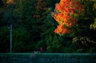 It’s starting to get dark pretty early, so I hastily headed to Grant Park after work this evening.  I got there just in time to catch this shot, with the [&hellip;]