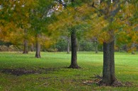 There I was at Whitnall Park again, this time hoping to capture something that demonstrates how windy it was.  After walking along the Root River for a half hour, I [&hellip;]