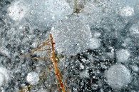 I was at Big Muskego Lake earlier this week, and thought of something I wanted to try. So I went back tonight and took these. Nothing more than macro shots [&hellip;]