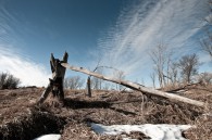 I was at the Horicon Marsh today. I couldn’t find anything to photograph at the marsh, which is just over this hill.  On the walk there though, I was drawn [&hellip;]