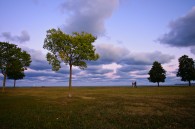 I took both of these shortly after sunset tonight. It was a little breezy and cool by the lake. Perfect sweater wearing weather, if you’re so inclined.