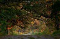 Taken this evening at the Richard Bong State Rec. Area.