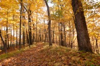 Both of these were taken along the Ice Age Trail near Mauthe Lake. &nbsp;