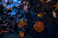 This was taken at Grant Park yesterday. Here’s one from Grant Park, taken this evening.