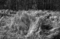 It hasn’t been the best weekend photographically. I’ve tried to make use of the wind the past couple days, but the results have ranged from boring to terrible. These two [&hellip;]