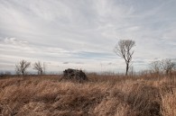 In the Kettle Moraine State Forest.