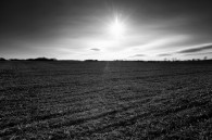 An empty field, near Milton. An empty road, near Natureland Park in Whitewater.