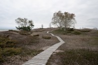 Taken along the boardwalk this evening. I was hoping the clouds would break, but they didn’t.
