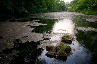 Paradise Springs near Eagle, WI. &nbsp;