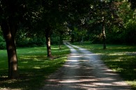 I took a walk through Potter’s Forest in Whitnall Park this evening. As you can see, there is a gravel road on the property. There are also trees with flowers [&hellip;]