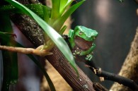 Emily and I went to Chicago last Saturday. Our only planned destination was the Shedd Aquarium, and that’s where we started. I found the jellyfish the interesting of all the [&hellip;]