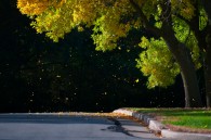 Some autumn colors from Whitnall Park earlier today.