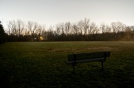 All taken in the wilderness of Franklin this evening.