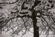 From Whitnall Park last night.