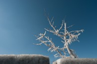 A few images from Sunday. The first two were taken at Illinois Beach State Park. These two were taken in Chicago.