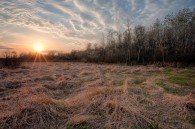 This is Oakwood Road  from a couple weeks ago, which was closed at the time due to flooding. A grate is at Holy Hill. I wanted to take some photos [&hellip;]
