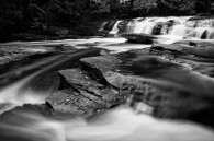 I set out at 5:30 A.M. yesterday for a day trip to Porcupine Mountains State Park on Lake Superior in the UP of Michigan. The weather wasn’t the greatest, but [&hellip;]