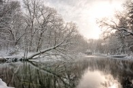 I set out this morning to take some photos of the freshly fallen snow. It snowed all the way out to Paradise Springs, but shortly after I arrived the clouds [&hellip;]