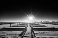 Yesterday morning at McKinley marina.