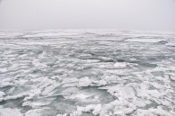 The waters off the coast of northern Illinois.