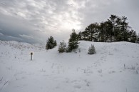 Kohler-Andrae State Park. The two above are were taken today at Parfrey’s Glen.