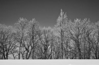 I stopped at Blue Mounds State Park today, and managed to take a landscape photo without any sense of depth. Nothing is really in the foreground and background is just [&hellip;]