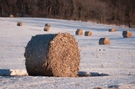 A leftover photo from last Saturday’s drive. This was on the way home, near Mt. Horeb.