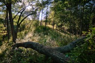 A couple photos from near Lulu Lake, taken on Sunday.