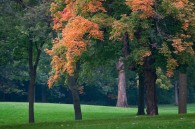 One from Jackson Park on Saturday. And, one from Whitnall Park this evening.
