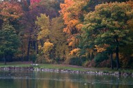 Taken in Jackson Park yesterday.