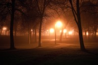 A few from the park earlier this evening.