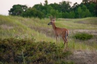 Taken earlier this evening… &nbsp;