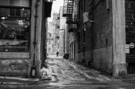 A few photos from my walk around the Old Montreal (Vieux–Montréal) neighborhood yesterday.