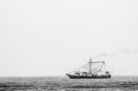 Off the coast of Galveston, TX.