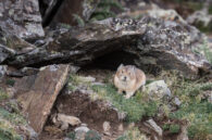 These were all taken in Rock Mountain National Park.